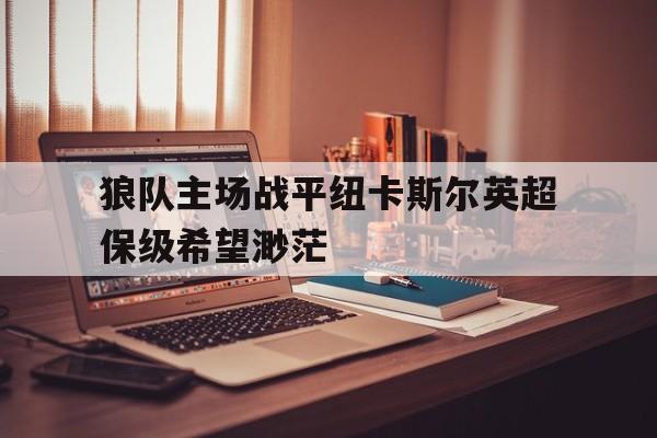 狼队主场战平纽卡斯尔英超保级希望渺茫